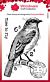 CE - Woodware Bluebird Clear Stamps 