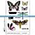 Katzelkraft Winged Butterflies - A5 rubber stamp