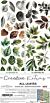 Craft O' Clock Creative Extras Set Mix 04 All Leaves (CC-CEX-MIX-04)