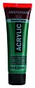 Amsterdam Standard Series Acrylverf Tube 20 ml Permanentgroen Donker 619