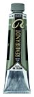 Rembrandt Olieverf Tube 40 ml Tin 815