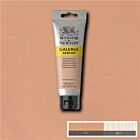 Winsor & Newton Galeria Acrylic Colour 120ml Pale Terracotta