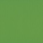 Florence cardstock texture 12x12" 216gram frog