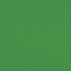 Florence cardstock texture 12x12" 216gram holly