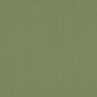 Florence cardstock texture 12x12" 216gram acacia