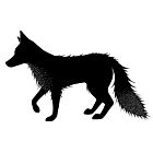 Lavinia Stamp Fox 2 (Peri)