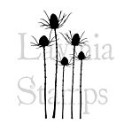 Lavinia Stamps Silhouette Thistle LAV411