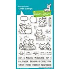 Lawn Fawn 4x6 clear stamp set hocus purr-cus!