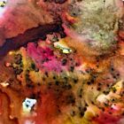 PaperArtsy Infusions Dye CS17 - Rusty Car