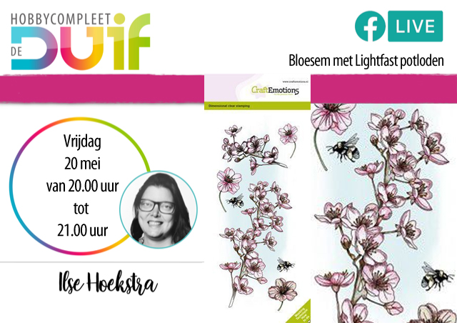 FBLive Ilse Hoekstra Bloesem met Lightfast